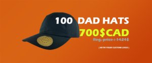 custom-dad-hats-special-promotion-vc300-valucap-sportsman-nationhats